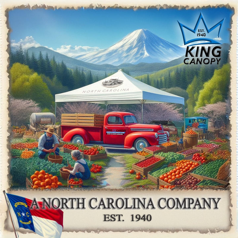 King Canopy Hercules 18-Feet by 20-Feet, 2-Inch Hammertone Steel Frame w/Buttons, 8-Leg, Carport, White