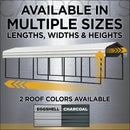 Arrow Carports Galvanized Steel Carport, with 2-Sided Enclosure, Compact Car Metal Carport Kit, 10' x 15' x 9', Eggshell