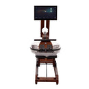 WaterRower Ergatta Rower